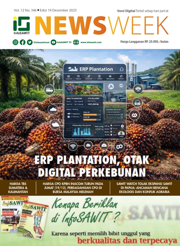 InfoSAWIT NEWS Vol 12 No 346 Edisi 19 Desember 2025