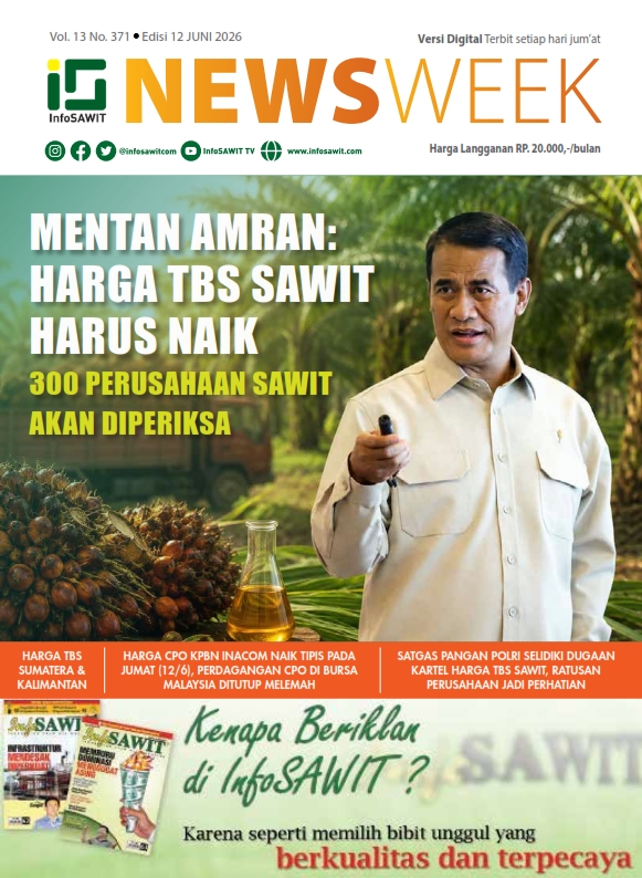 InfoSAWIT NEWS Vol 13 No 371 Edisi 12 Juni 2026